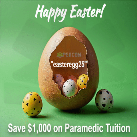 easter egg discount code